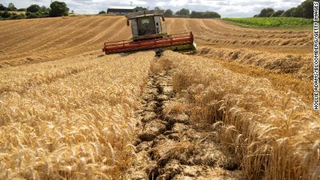 Gran alivio con los envíos de granos de Ucrania, pero la crisis alimentaria no va a ninguna parte