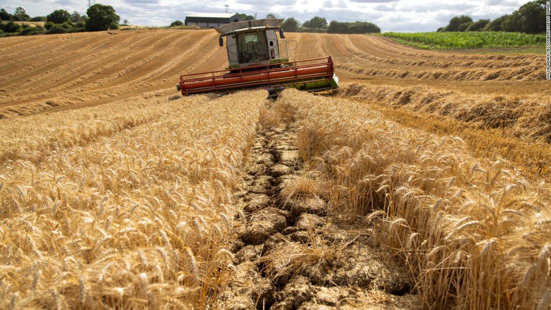 Huge relief as Ukrainian grain shipped out, but the food crisis isn't going anywhere - CNN