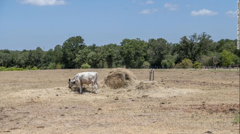 Half the country is in drought, and no region has been spared