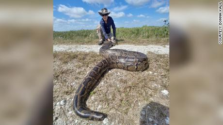 Donna Kalil has been hunting pythons professionally since 2017. She&#39;s killed more than 670 since then.