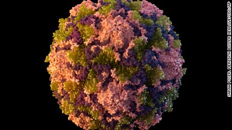 Opinion: Comment un virus semble-t-il revenu d'entre les morts