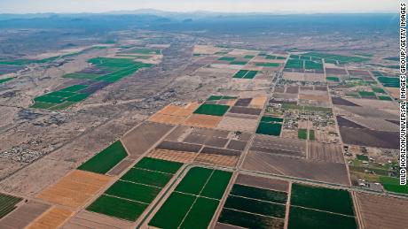 Irrigation canals course through farmlands in Pinal County, Arizona.