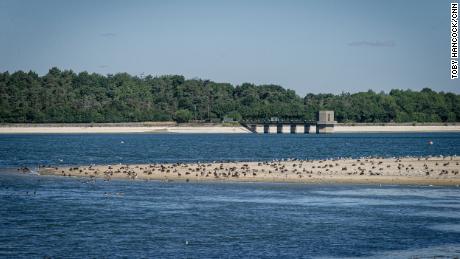 Low water levels expose parts of the shoreline at Hanningfield Reservoir in Essex, England.