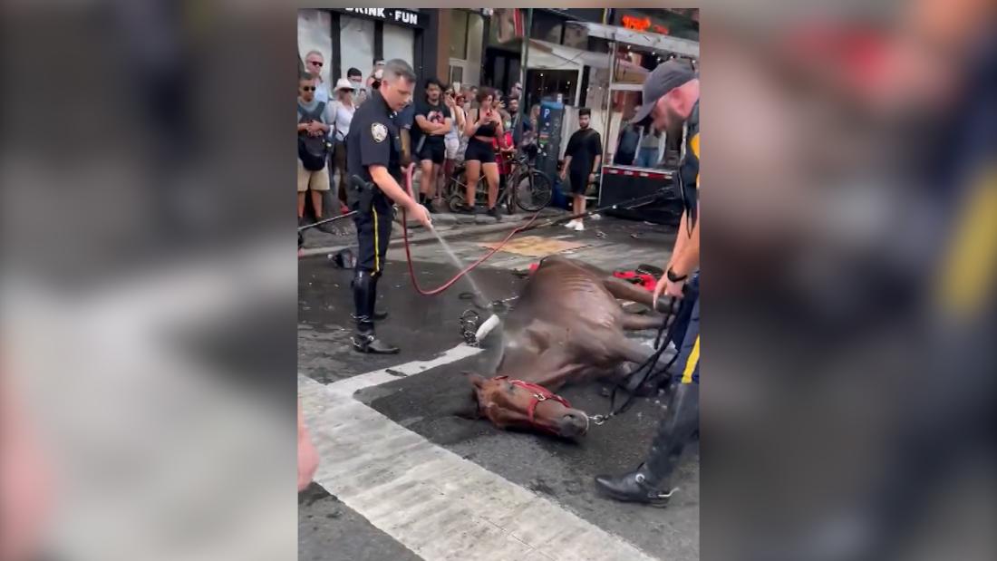NYPD hose off carriage horse after it collapses on busy street – CNN Video