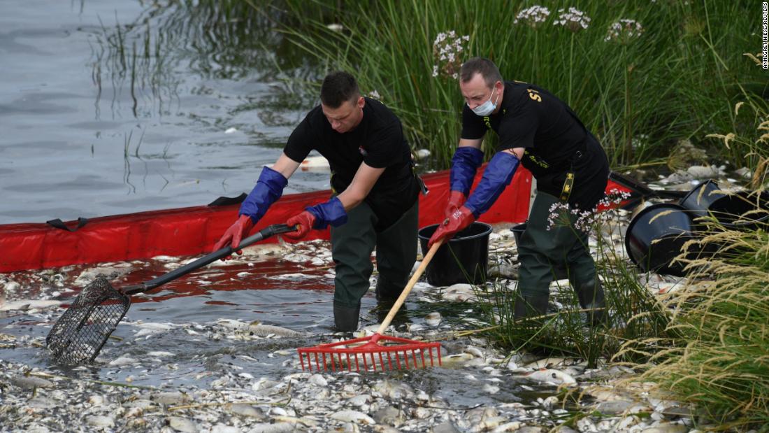 Masowe śmiertelne ryby w niemiecko-polskiej rzece przypisywane nieznanej toksynie