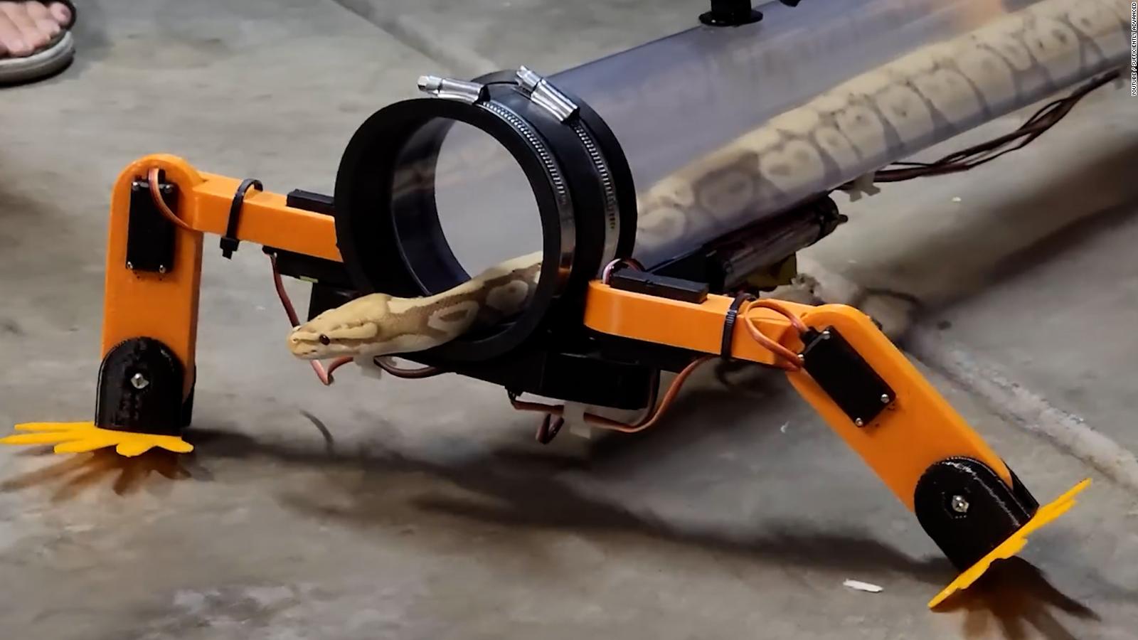 Video: r gives a snake robotic legs to help it walk - CNN Video