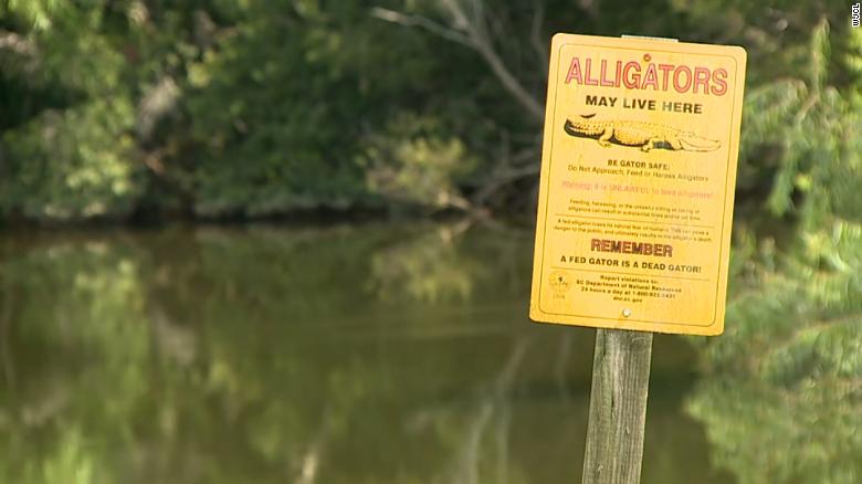 A woman was killed by an alligator after she reportedly slipped into a pond while gardening