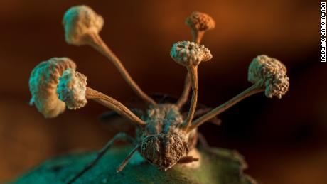 Stunning images of nature&#39;s weird and wonderful unveiled in photo competition