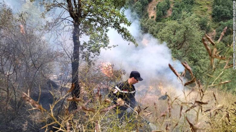 Les pompiers interviennent pour maîtriser un incendie de forêt à Sétif, en Algérie, le 17 août 2022.