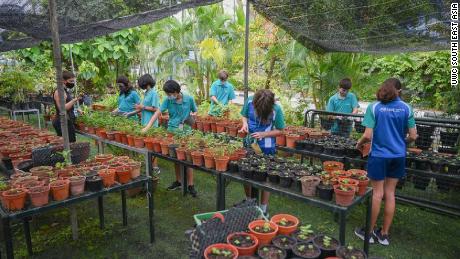 For Call to Earth Day 2021, children from UWC South East Asia undertook a &quot;plant-athon.&quot; They sowed herbs, potted on seedlings and cultivated cuttings in a sheltered tropical garden.