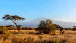 220818134704 01 mount kilimanjaro swap hp video Tanzania: Kilimanjaro gets fast internet