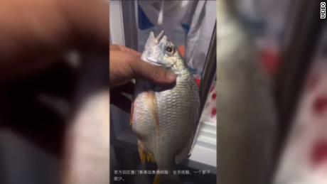 相关视频：了解中国当局为何在擦拭海鲜