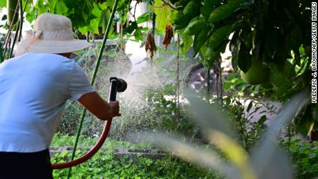 Some LA County residents are asked to suspend outdoor watering