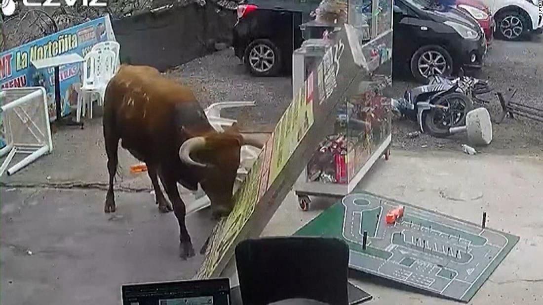 Video: Bull goes on rampage inside shop in Lima, Peru – CNN Video