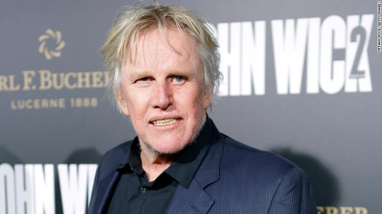 220820160201-gary-busey-file-exlarge-169