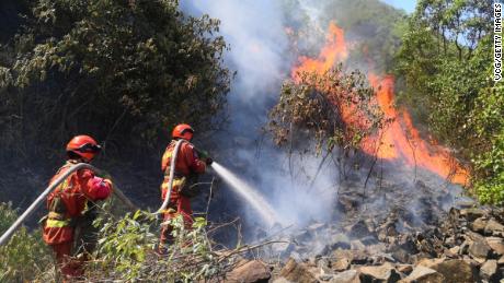 Les pompiers combattent un incendie de forêt sur une montagne à Chongqing, en Chine, le 22 août.