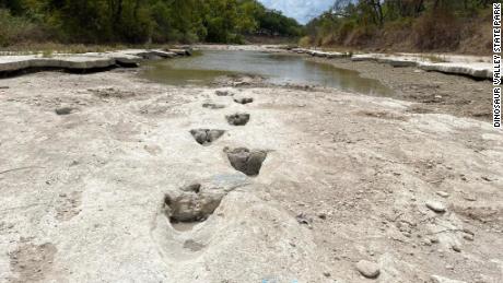 Tracks of a 60-foot dinosaur have been discovered at Dinosaur Valley State Park in Texas due to excessive drought conditions this past summer, according to Texas Parks and Wildlife Department Press Office. (Dinosaur Valley State Park)