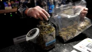 ORDWAY CO - DECEMBER 11 Wicked weed dispensary manager  Ross Barrett loading display jars at the counter in Ordway Colorado December 11 2018 in Ordway CO Photo by Joe AmonThe Denver Post via Getty Images