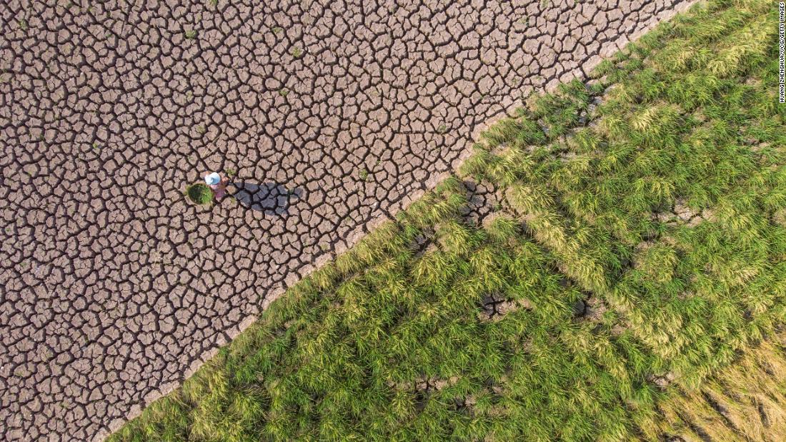 China's worst heat wave on record is crippling power supplies. How it reacts will impact us all