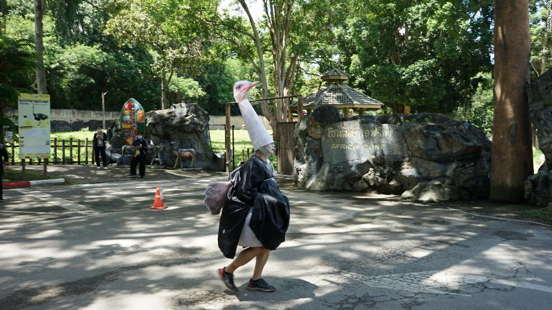 escaped-ostrich-no-that-s-just-a-thai-zoo-employee