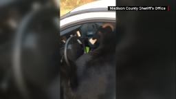 220829124128 goat patrol 2 hp video 'Are you kidding me?': Deputy finds goat in patrol car