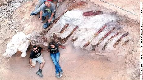 Os pesquisadores acreditam que os restos tinham cerca de 39 pés de altura e 82 pés de comprimento.