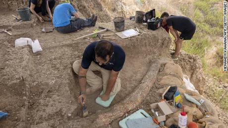 Archaeologists, paleontologists and curators from the Israel Antiquities Authority, Tel Aviv University and Ben-Gurion University work at the site where a 2.5-meter-long tusk of an ancient A straight-tusked elephant was discovered near Kibbutz Revadim in southern Israel on Wednesday.
