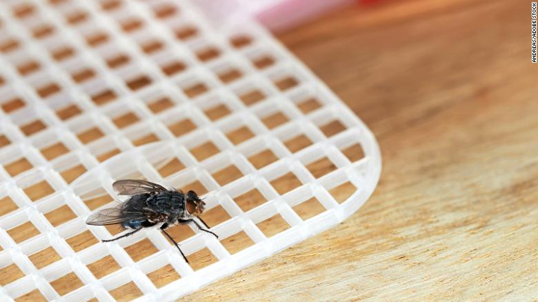 Swat and miss: Why those pesky flies almost always outmaneuver you