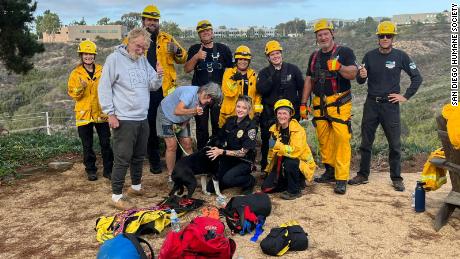 California: Deaf canine rescued after falling 100 ft