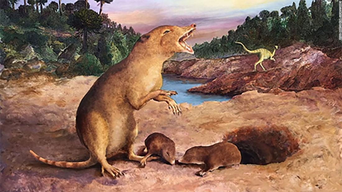 Un mammifero di 225 milioni di anni è il più antico di sempre