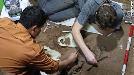 A team of Indonesian and Australian archaeologists excavated the skeleton. 