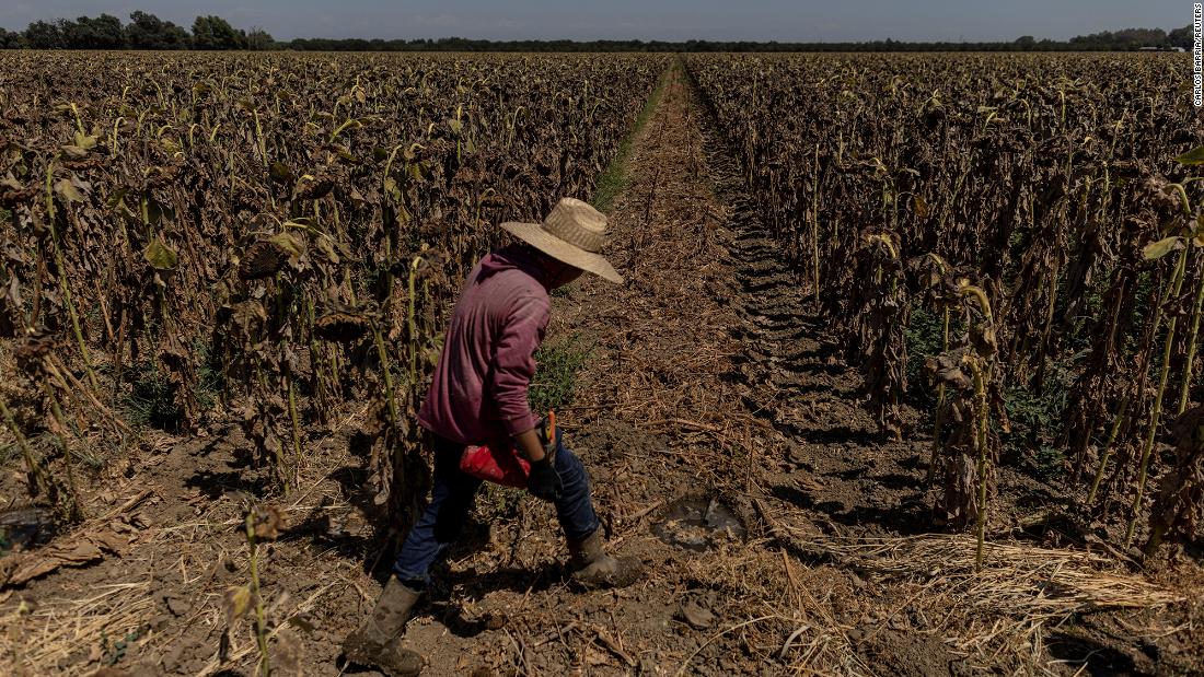 Extreme weather could push food prices even higher