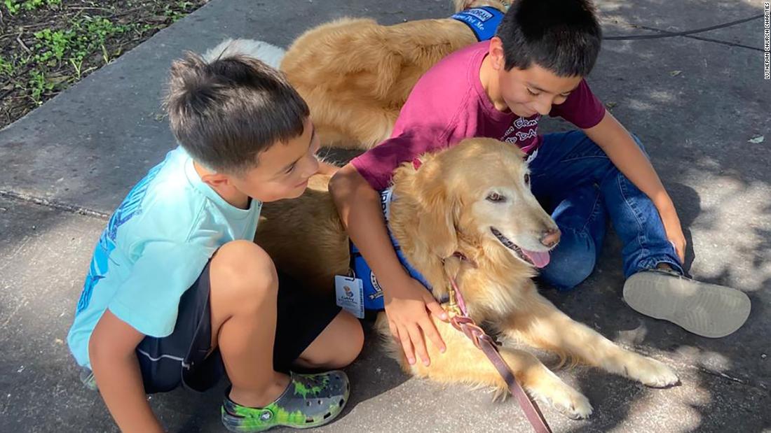 comfort-dogs-are-greeting-uvalde-students-for-their-return-to-school-here-s-how-canine-visitors-can-help-after-tragedy