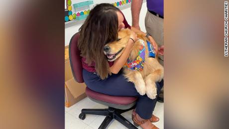 Comfort dog Elijah from Wichita Falls, Texas, gets a hug at the Dual Language Academy in Uvalde. 