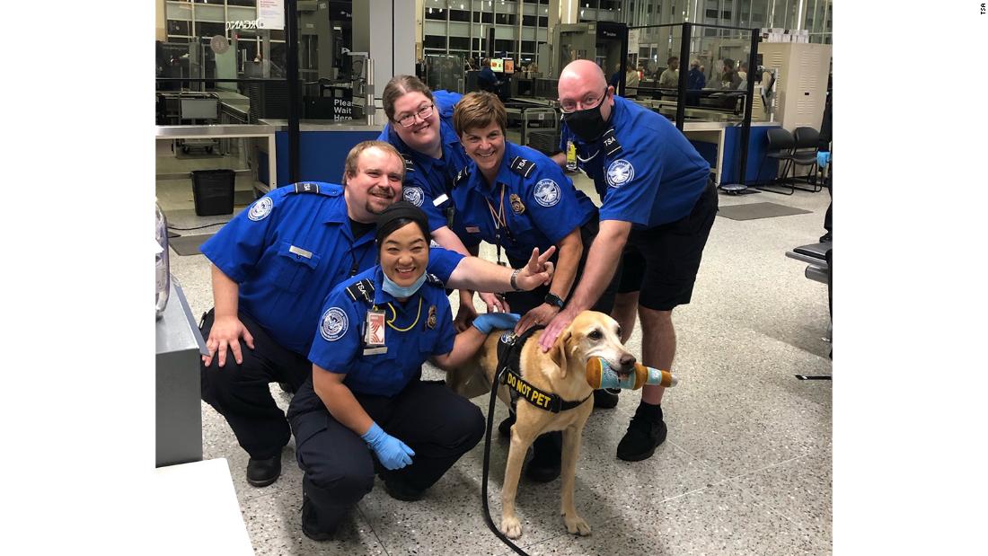 TSA's 'cutest canine' retires after almost 10 years of service