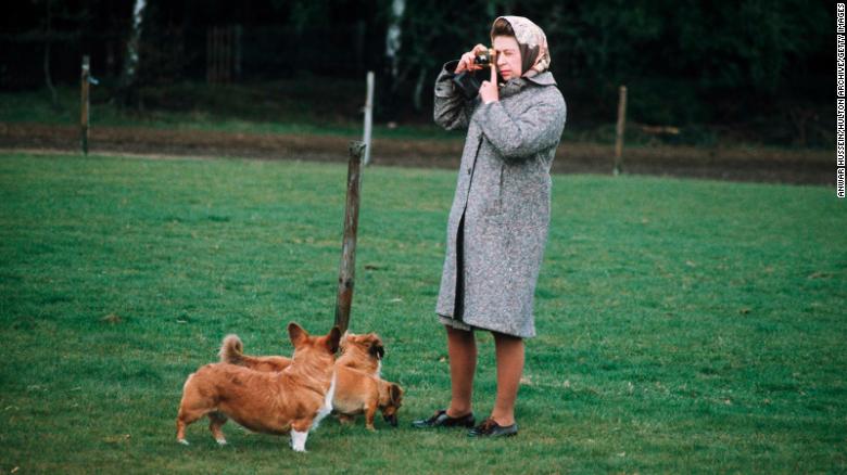 The Queen takes photos with her corgis at Windsor Park in 1960.