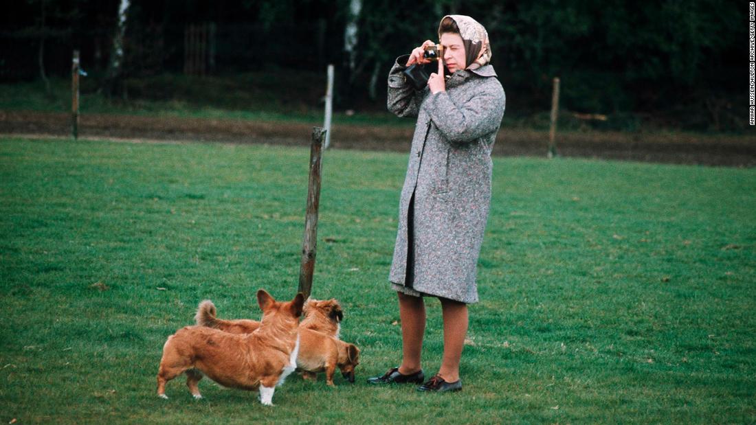 The Queen takes photos with her corgis at Windsor Park in 1960.