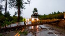A Caltrans worker removes a fallen tree in San Diego on Friday. 