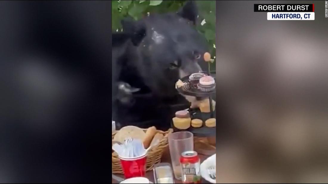 Unexpected bear shows up at 2-year-old’s birthday party – CNN Video