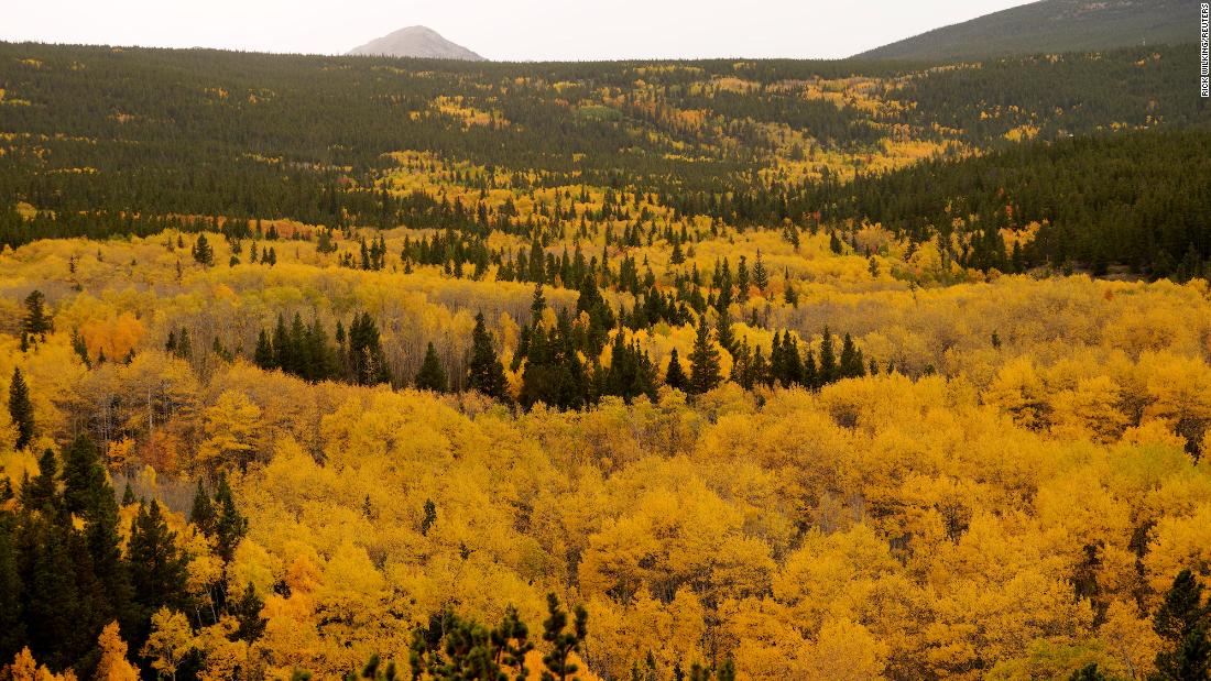 'False fall' arrives, but don't get too cozy, meteorologist says