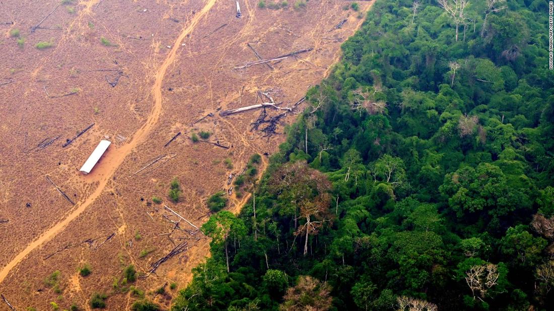 Indonesia, Brazil biggest culprits in tropical forest loss linked to industrial mining: study