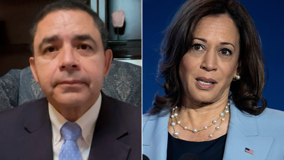 Democratic lawmaker says what Kamala Harris said about border is not true – CNN Video