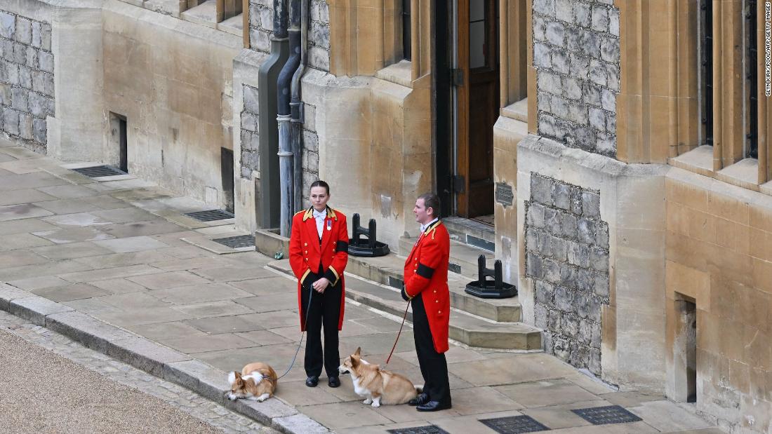 The Queen&#39;s corgis, Muick and Sandy, are walked inside Windsor Castle on Monday, ahead of the committal service at St. George&#39;s Chapel. &lt;a href=&quot;https://www.cnn.com/2022/09/11/uk/queen-elizabeth-corgis-duke-duchess-york-intl/index.html&quot; target=&quot;_blank&quot;&gt;They are being adopted&lt;/a&gt; by the Duke and Duchess of York.
