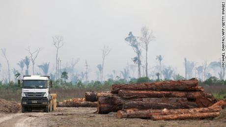 A truck drives past a pile of illegally cut down logs in the forest in Humaita, southern Amazonas State, Brazil, on September 17, 2022. 