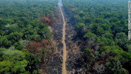 Experts say deforestation in Brazil is accelerating as Bolsonaro's first term ends