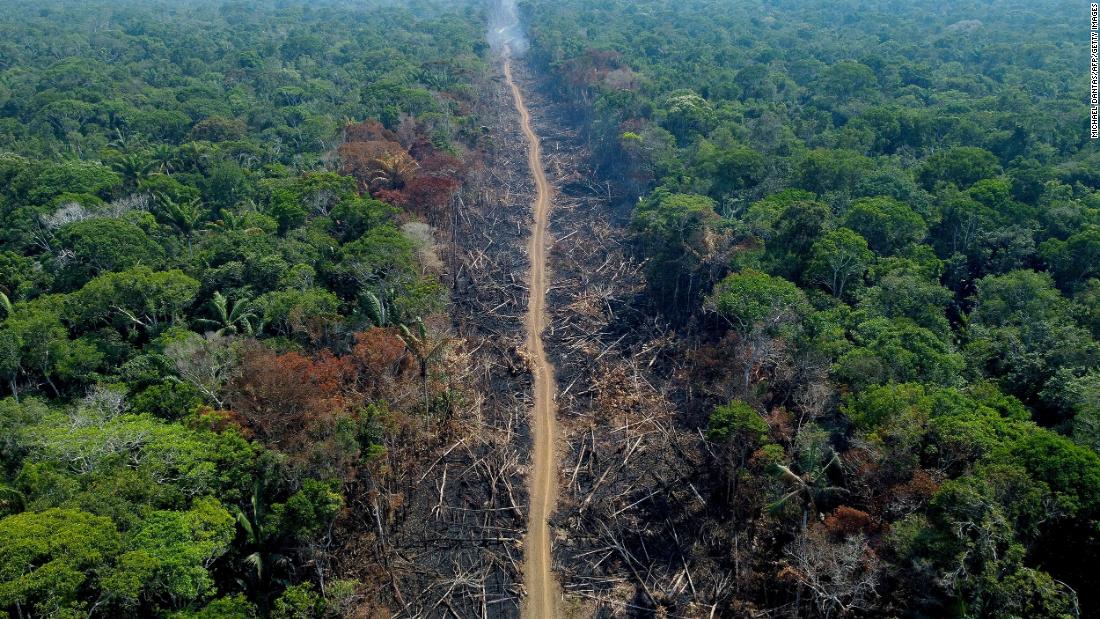 Deforestation is accelerating in Brazil as Bolsonaro's first term ends, experts say