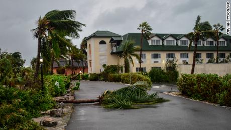 Una palmera caída se encuentra en la entrada del complejo Ports of Call en Providenciales, Islas Turcas y Caicos. 