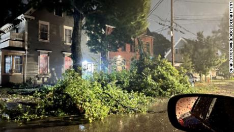 A fallen tree is seen on a road as Fiona hits Prince Edward Island on Saturday. 