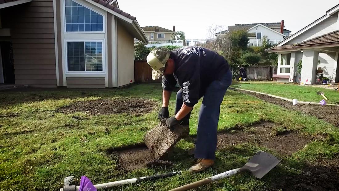 Video: Removing your lawn is good for the planet – CNN Video