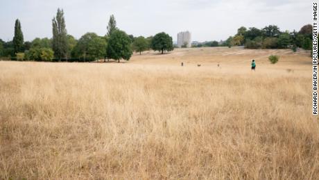 A landscape of dry, brown and parched grass in Brockwell Park during the UK drought, on 15th August 2022, in London, England.